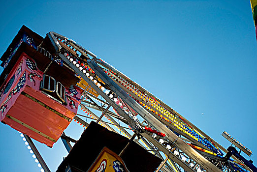 soi bạch thủ lô
