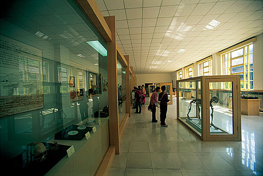soi cau mb gio vang
