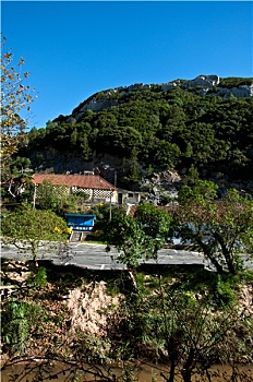 du doan xo so rong bach kim