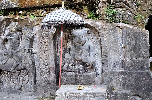 rong bach kim 666 mien nam