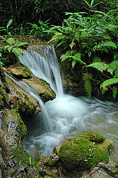 xổ số ninh thuận