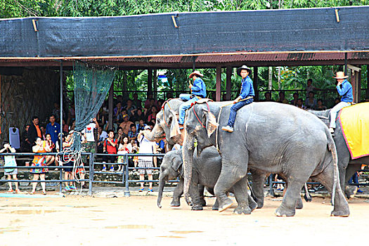 số đồng tháp