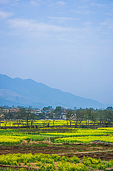 dự đoán xổ số hôm nay