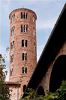 rong bach kim 366