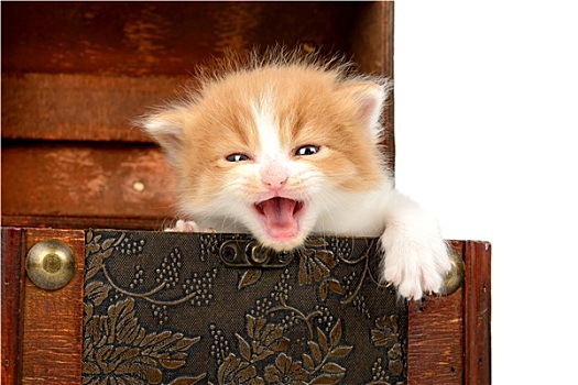 kết quả xổ số miền bắc 30 ngày