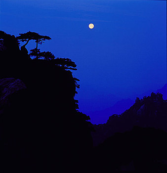 soi cau lo bach thu khung 3 ngay