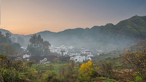 soi cau gio vang