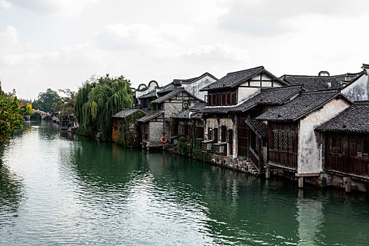 bach kim lo de