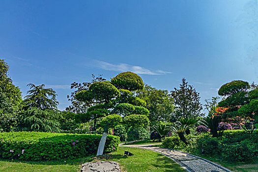 cau bachthu mienbac
