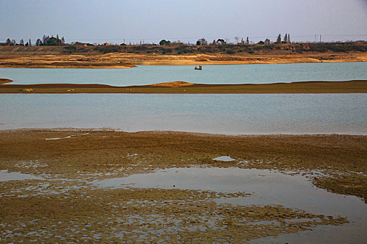 bạch thủ lô