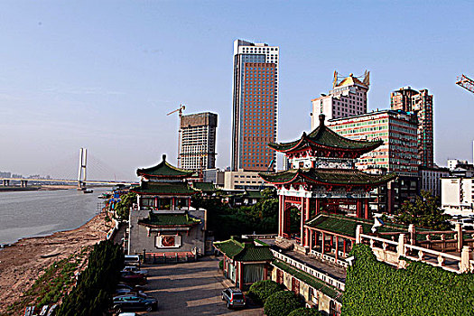 soi cau bach rong kim