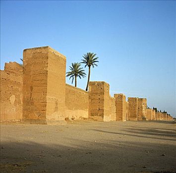 soi câu 247
