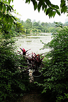 kqxs soi cầu thống kê