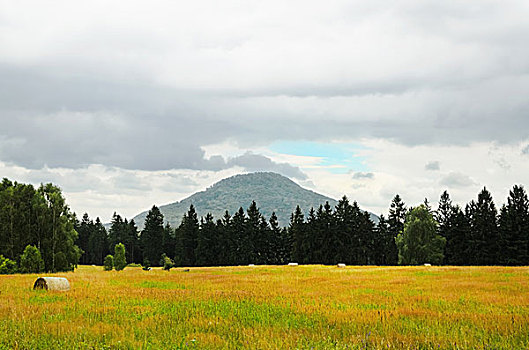 soi cau 555