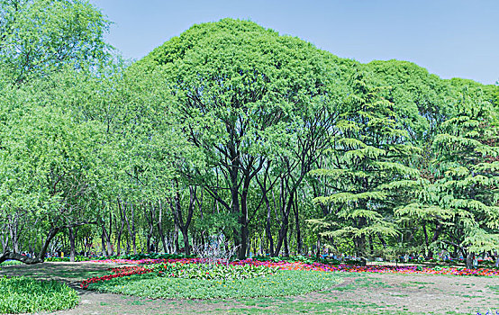 xstd soi cau thong ke