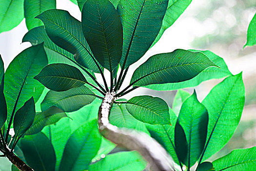 diễn đàn xổ số thần tài miền nam